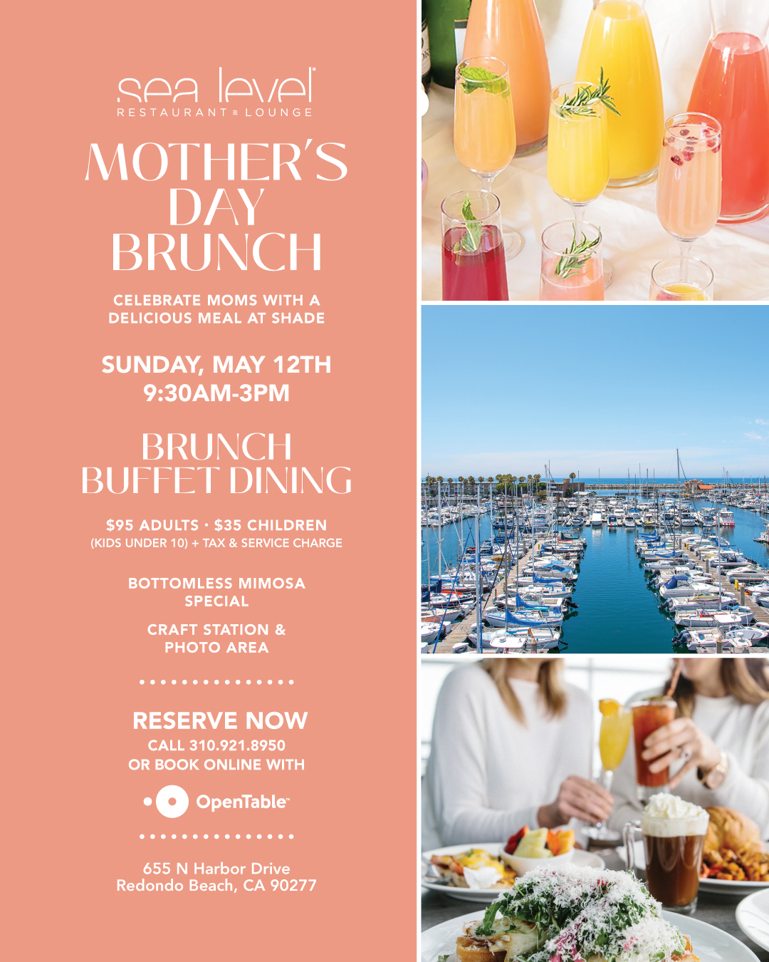 mother's day brunch promotional poster