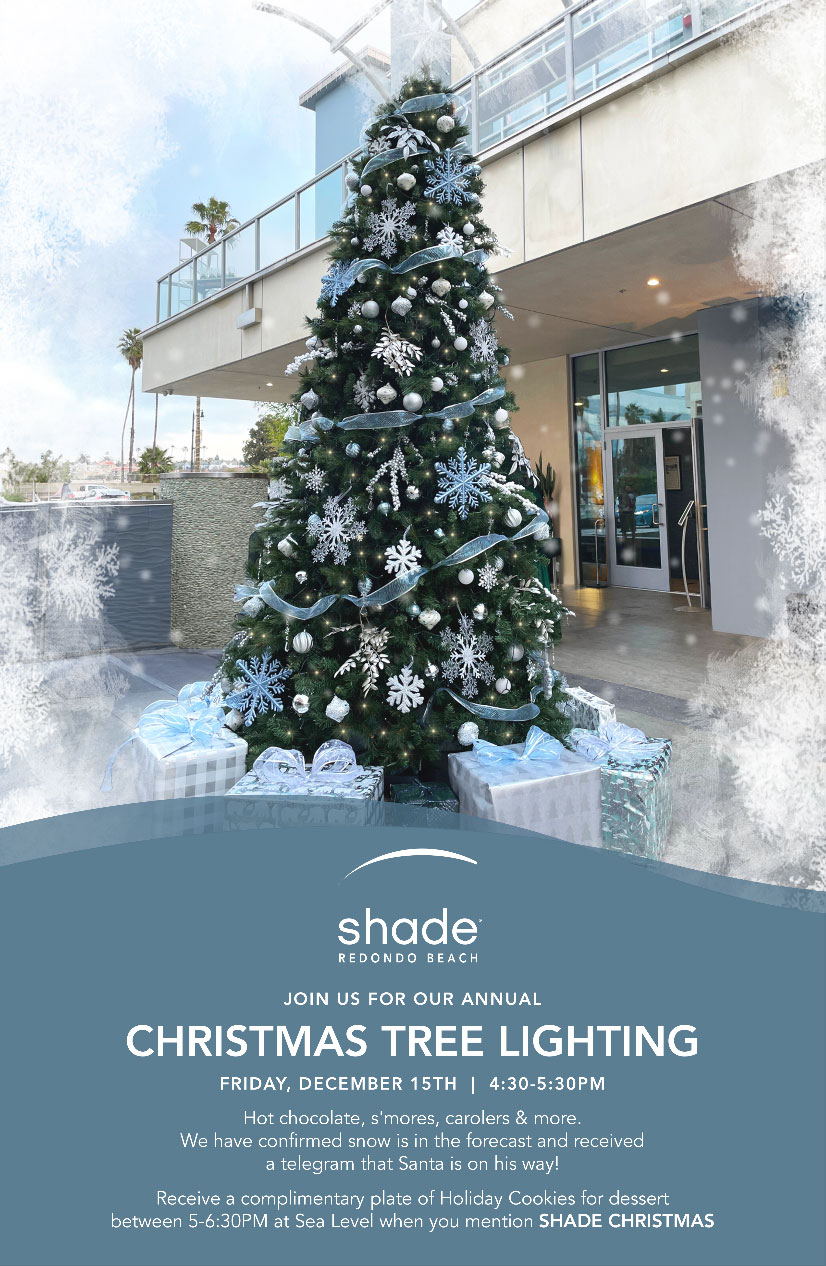 Chirstmas Tree Lighting promotional poster