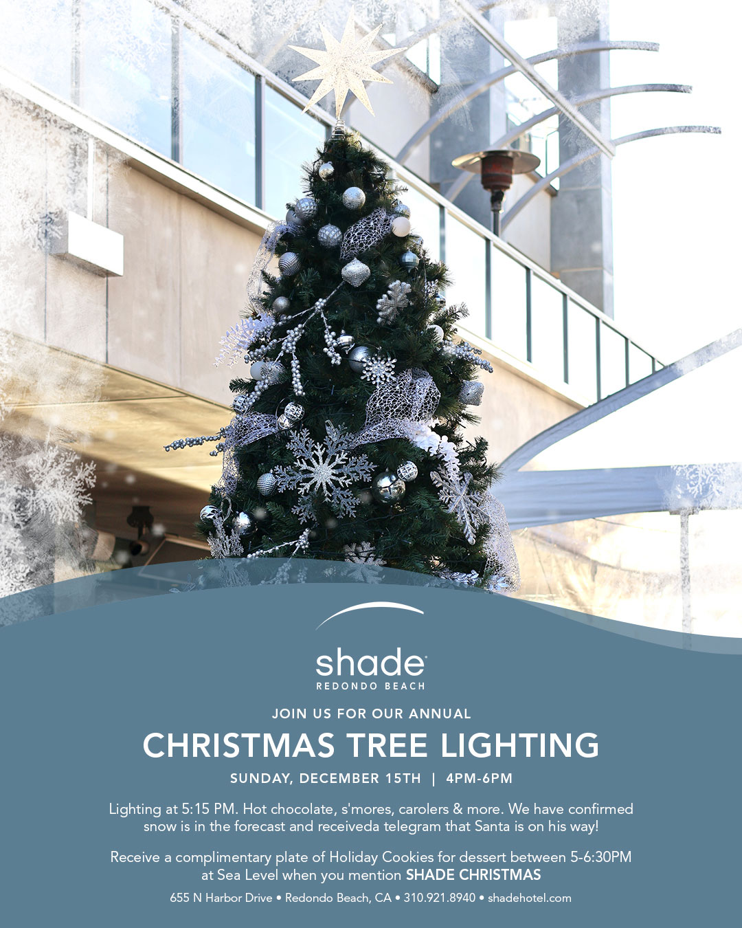 Chirstmas Tree Lighting promotional poster